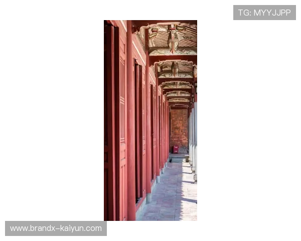 内格雷拉案历史脉络:裁判指派争议与司法进展