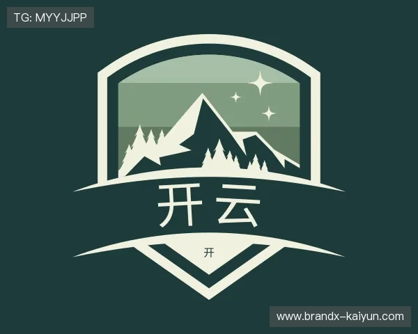 解读开云公司